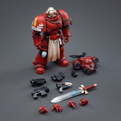 Фигурка Warhammer 40,000: Blood Angels Veteran Vigna