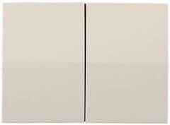 СВЕТОЗАР Эффект, без вставки и рамки, двухклавишный выключатель (SV-54434-B)