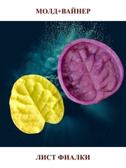 Молд пластиковый+вайнер силиконовый 