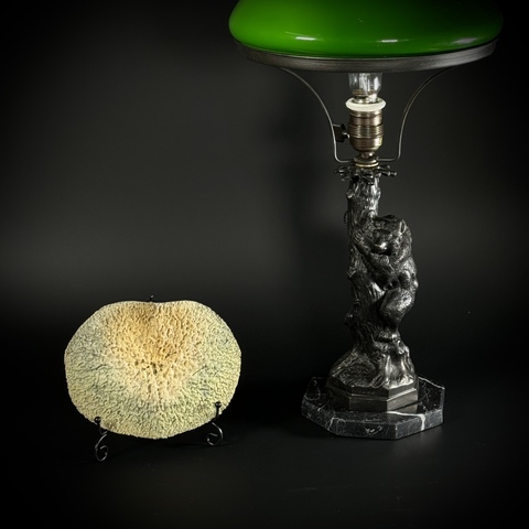 Позвоночный диск кита на подставке