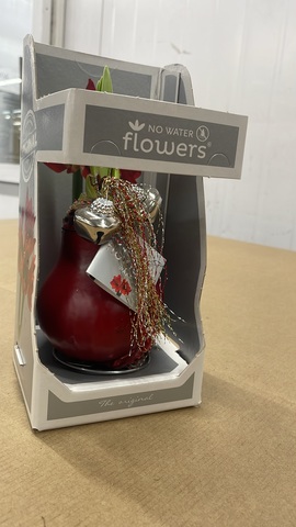 Гиппеаструм в воске новогодний с декором