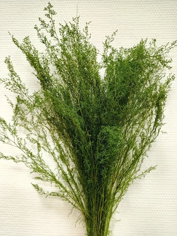 Штоб стабилизированный Натурально-зеленый