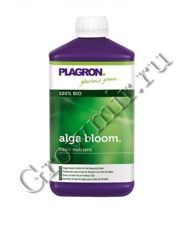 Plagron Alga Bloom 250ml