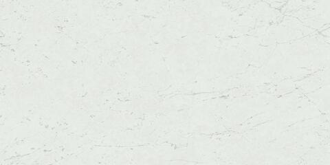Atlas Concorde Marvel Stone Carrara Pure Lappato 120x240
