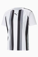Футболка Puma teamLIGA Striped