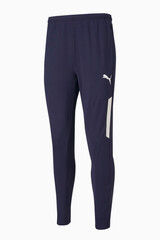 Штаны Puma teamLIGA Training Pro