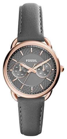 Наручные часы Fossil ES3913 фото