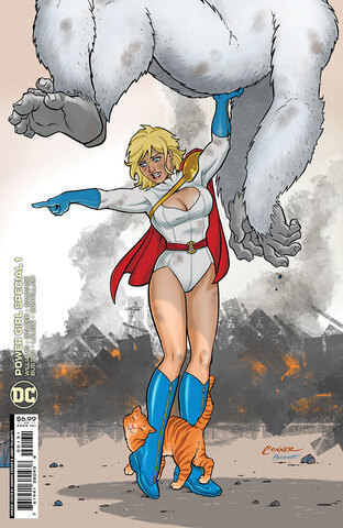 Power Girl Special #1 (One Shot)  (Cover C)