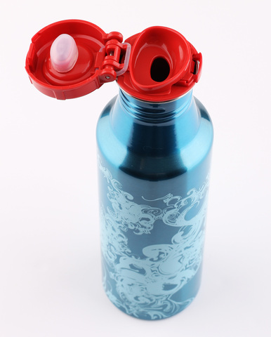 Фляжка из нержавеющей стали THERMOS Roho IS4560HZ6, 700 ml