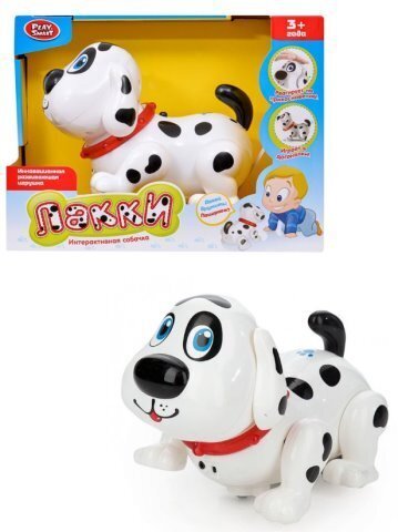 Изображение загружено обработкой