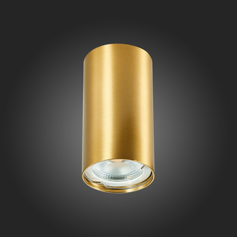 Светильник потолочный ST Luce ST110.207.01