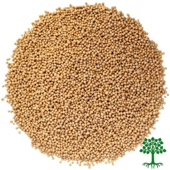 Семена горчицы белой