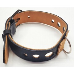 Ошейник Pit Bull 05