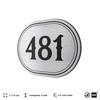 Номерок на дверь квартиры 481, для кабинета, офиса, шильдик 9 х 7 см, брашированная сталь, Айдентика Технолоджи
