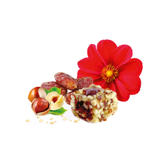 Gift Nut 