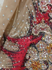 Купальник для выступлений