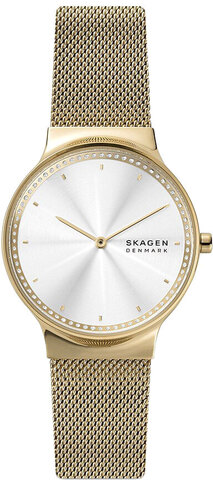 Наручные часы Skagen SKW3027 фото