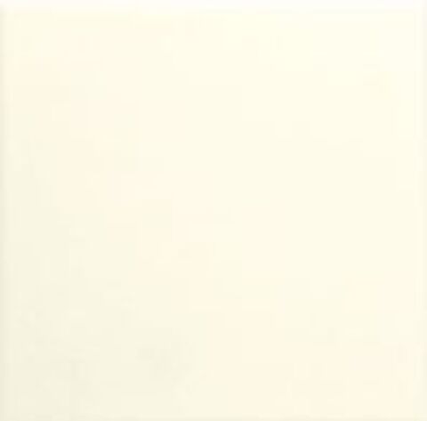 Adex Neri Liso PB Biscuit 10x10