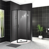 BelBagno UNO-195-P-1-90-C-NERO Душевой уголок