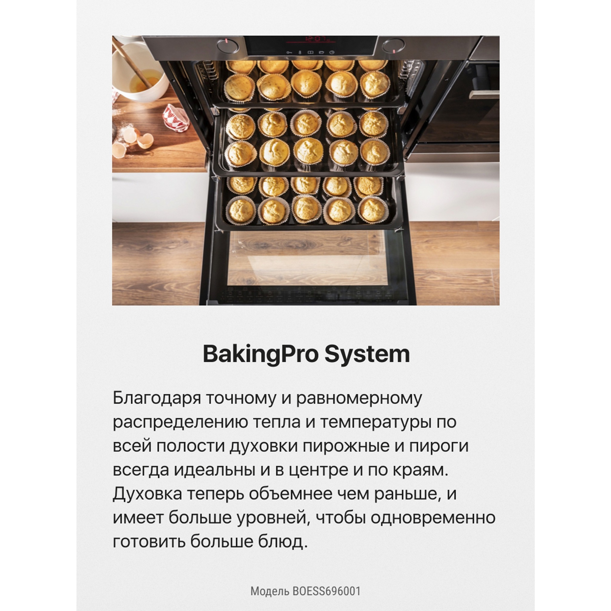 Духовой шкаф Hansa BakingPro BOESS696001 | 1 год | Официальный магазин