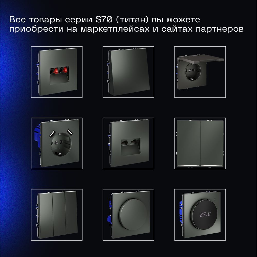 Выключатель с самовозвратом встраиваемый Voltum S70 двухклавишный 10А, (титан) VLS020606