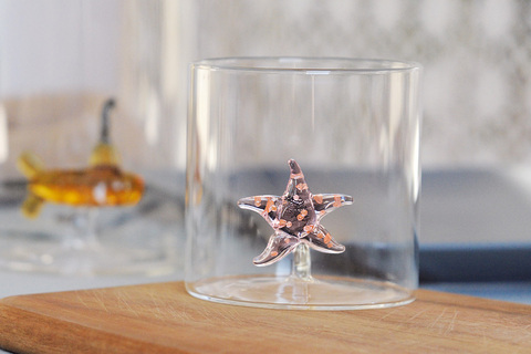 Стакан 0.25л WD Lifestyle Морская звезда