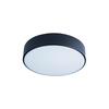Потолочный светильник Loft It Axel 10002/12 Black