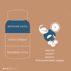 Диффузор ароматический gifting, Печенье и ягоды, 100 мл