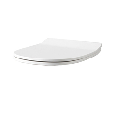 ArtCeram TEA011 05 ArtCeram TEN Сиденье для унитаза с микролифтом, цвет: белый матовый фото