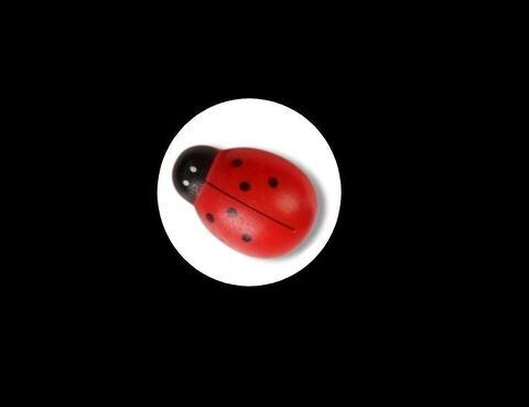 Силиконовый м олд Божья коровка