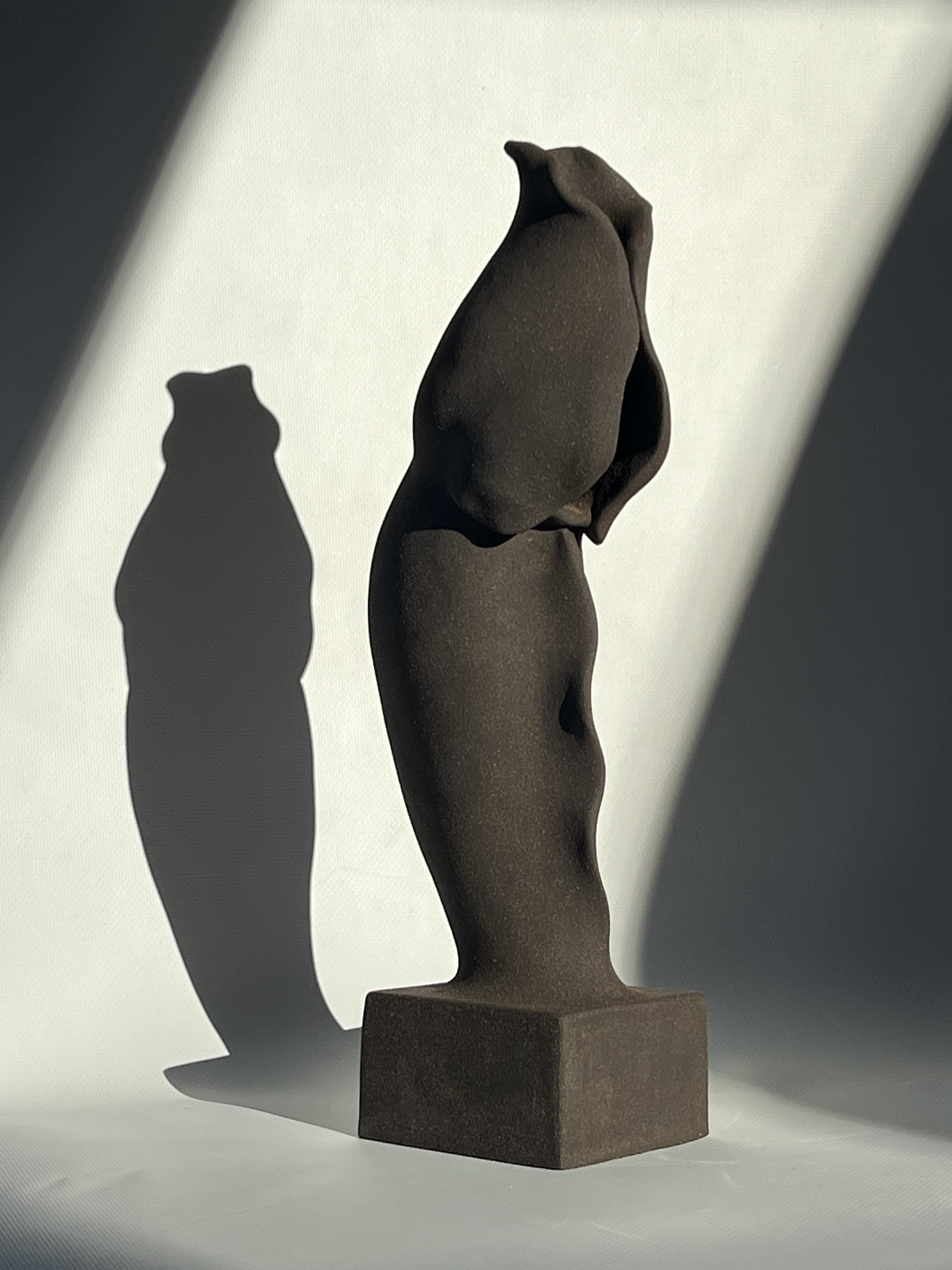 из серии Симбиоты