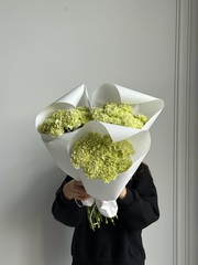 Охапка диантусов в зеленом оттенке 10 шт