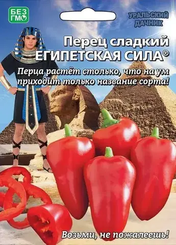 Семена перец Египетская сила, ранний, компактный, плод 150 гр