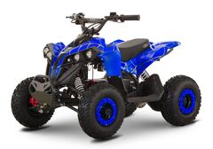 Детский электрический квадроцикл RiverToys MARK 1200W