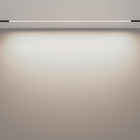 Магнитный трековый светильник Maytoni Basis TR030-2-30W4K-B