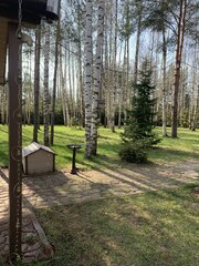 Дождевая цепь «Колокольчики на кольцах», бронзовый