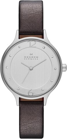 Наручные часы Skagen SKW2276 фото