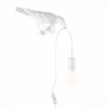Светильник настенный Evoluce Gavi SLE115301-01