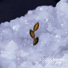 Leaflet v.2 Tiger Eye