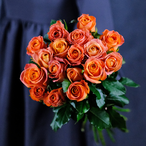 Розы оранжевые Clarence от 7шт