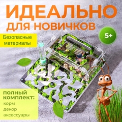 муравьиная ферма