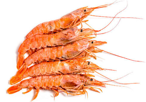 Лангустины Аргентинские с головой L1~500г