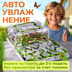 Формикарий для муравьев Стандарт 