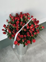 Кустовая роза в красном оттенке