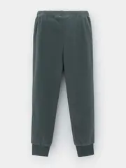 брюки  для мальчика  ФЛ 40006-1/10 ГР