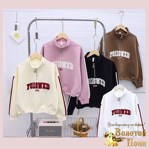 Толстовка хлопок д (10-15) 251026-А804