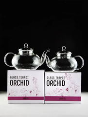 Чайник заварочный стеклянный с фильтром "Смородина", 600 мл