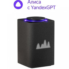 Умная колонка ЯНДЕКС Станция Макс Zigbee, 65Вт, с Алисой на YaGPT, графитовый