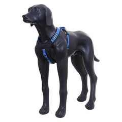 70302 Шлейка ICEPEAK PET PROZONE SUPER HARNESS,  350 синяя