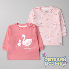 пыльная роза/мульти
